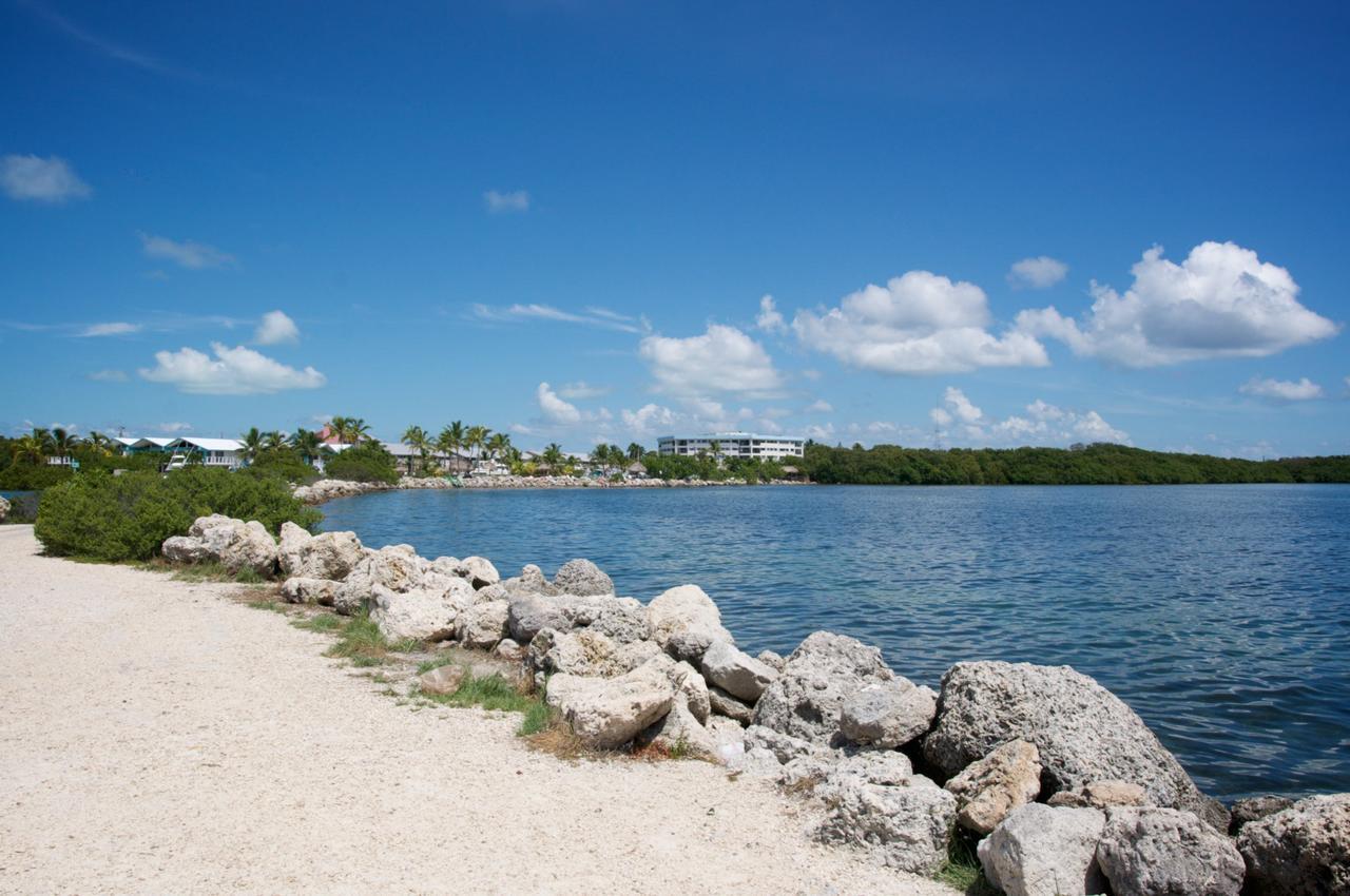 Kawama Yacht Club Apartment Key Largo Eksteriør bilde