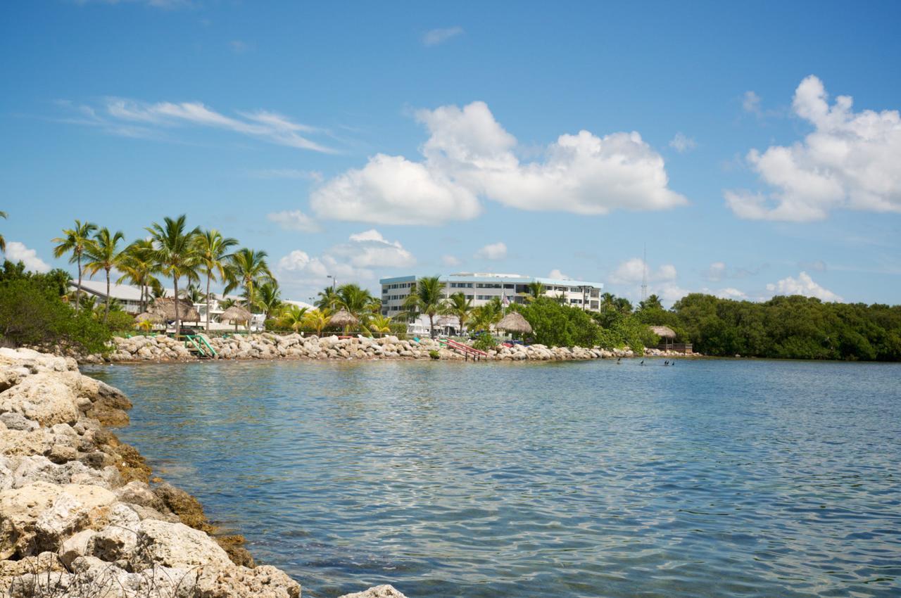 Kawama Yacht Club Apartment Key Largo Eksteriør bilde